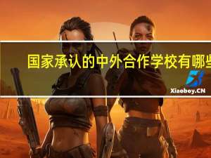 国家承认的中外合作学校有哪些