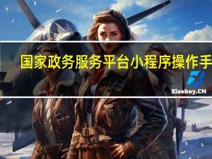 国家政务服务平台小程序操作手册（国家政务服务平台小程序）