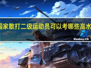 国家散打二级运动员可以考哪些高水平大学