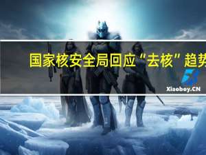 国家核安全局回应“去核”趋势：中国发展核能有多重原因