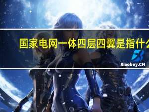 国家电网一体四层四翼是指什么