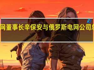 国家电网董事长辛保安与俄罗斯电网公司总裁柳明会谈