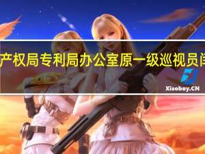 国家知识产权局专利局办公室原一级巡视员闫实被开除党籍