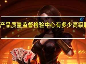 国家石油化工产品质量监督检验中心有多少高级职称的专业技术人员