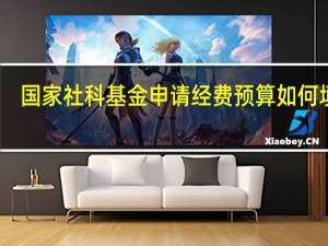 国家社科基金申请经费预算如何填写