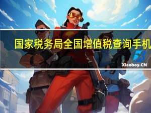 国家税务局全国增值税查询手机版（国家税务局全国增值税查询平台）