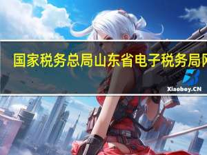 国家税务总局山东省电子税务局网站