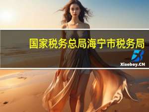 国家税务总局海宁市税务局（海宁财税网）