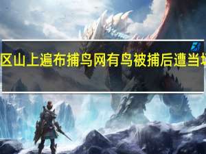 国家级自然保护区山上遍布捕鸟网有鸟被捕后遭当场肢解 到底什么情况呢