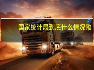 国家统计局 到底什么情况嘞