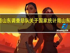 国家统计局山东调查总队 关于国家统计局山东调查总队的介绍
