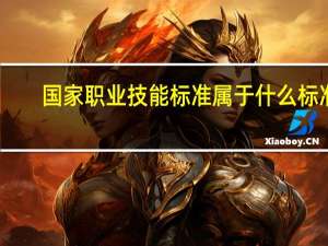 国家职业技能标准属于什么标准