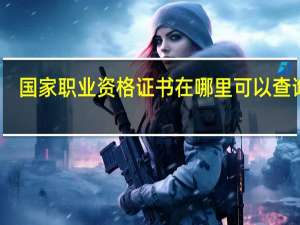 国家职业资格证书在哪里可以查询呢