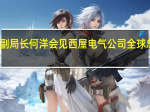 国家能源局副局长何洋会见西屋电气公司全球总裁兼首席执行官