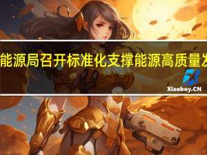 国家能源局召开标准化支撑能源高质量发展座谈会