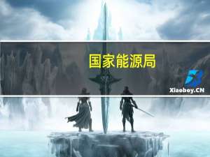 国家能源局：积极推进尿素替代液氨改造等危化品重大危险源整治工作