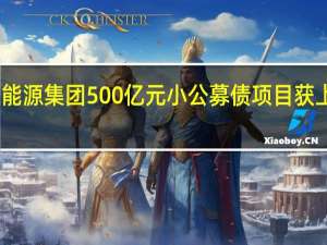 国家能源集团500亿元小公募债项目获上交所受理