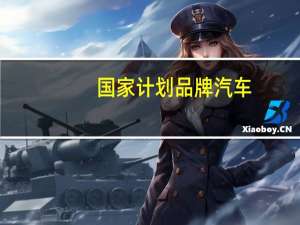 国家计划品牌汽车