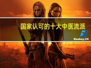 国家认可的十大中医流派