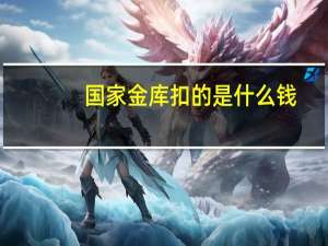 国家金库扣的是什么钱