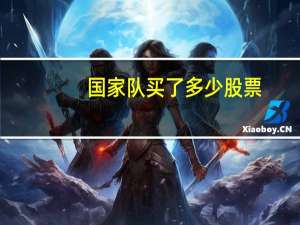 国家队买了多少股票