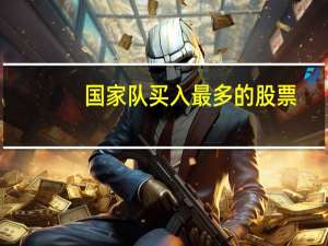 国家队买入最多的股票