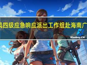 国家防总启动防台风四级应急响应派出工作组赴海南广西协助指导台风防御工作