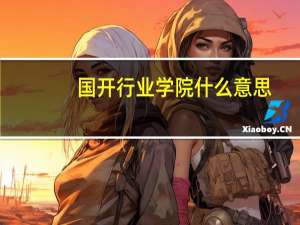 国开行业学院什么意思
