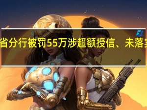 国开行浙江省分行被罚55万涉超额授信、未落实重要还款来源等
