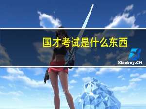 国才考试是什么东西