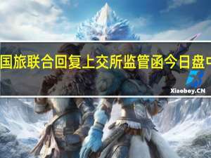 国旅联合回复上交所监管函 今日盘中涨停