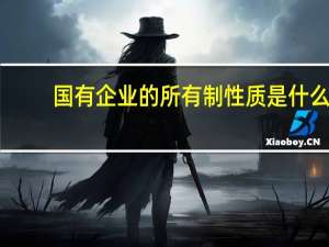 国有企业的所有制性质是什么（国有企业的所有制性质是什么）