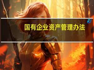 国有企业资产管理办法