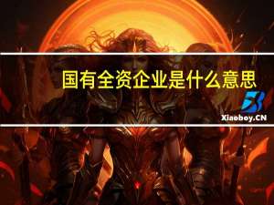 国有全资企业是什么意思