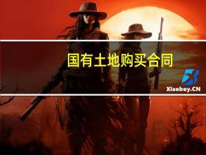 国有土地购买合同