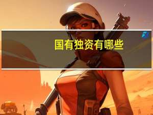 国有独资有哪些