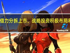 国有资本借力分拆上市、战略投资积极布局科创板 市场人士：分拆上市有助于实现国企估值重塑