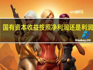国有资本收益按照净利润还是利润总额（国有资本收益指什么）
