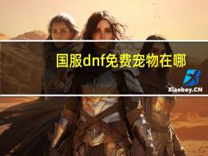 国服dnf免费宠物在哪