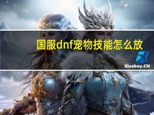 国服dnf宠物技能怎么放