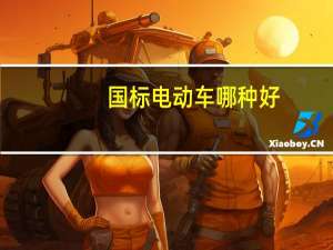 国标电动车哪种好（电动车哪种好）