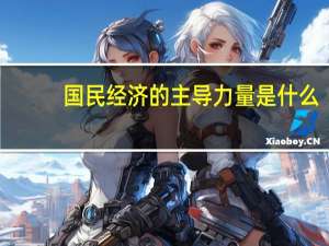 国民经济的主导力量是什么