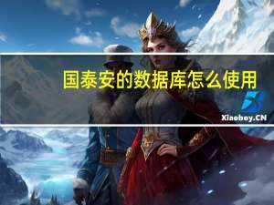 国泰安的数据库怎么使用