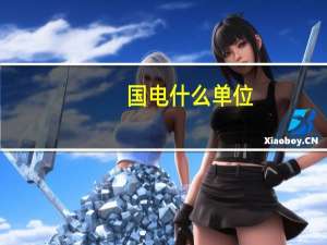 国电什么单位