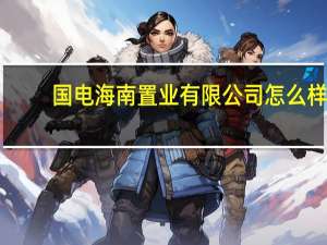 国电海南置业有限公司怎么样（国电物资集团海南有限公司简介）