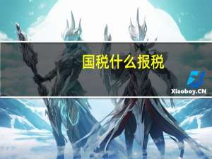 国税什么报税