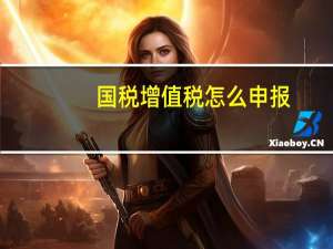 国税增值税怎么申报