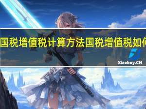 国税增值税计算方法 国税增值税如何计算