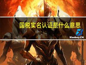 国税实名认证是什么意思