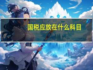 国税应放在什么科目